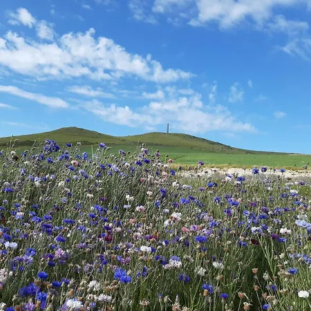 לינה וארוחת בוקר D'hotes 