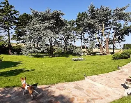 לינה וארוחת בוקר D'hotes 