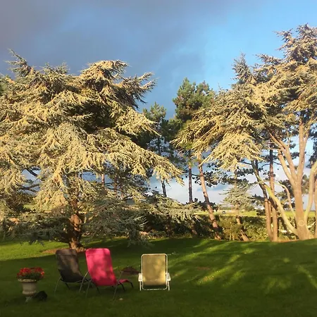 לינה וארוחת בוקר D'hotes 