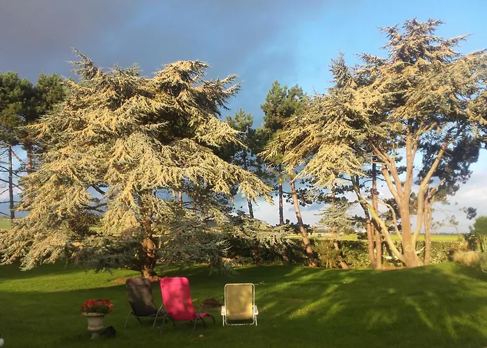 Bed & Breakfast D'hotes 